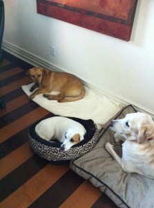 3babies 3babies