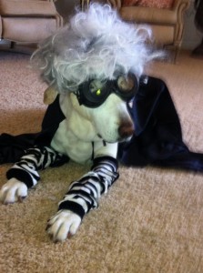 IMG_0095 IMG_0095