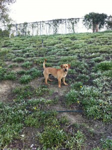 IMG_0325 IMG_0325