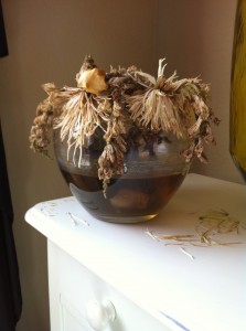IMG_0333 IMG_0333