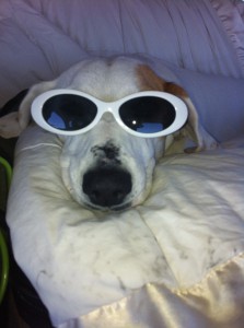 IMG_0529 IMG_0529