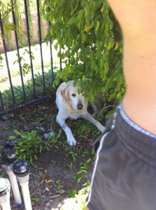 IMG_0552 IMG_0552