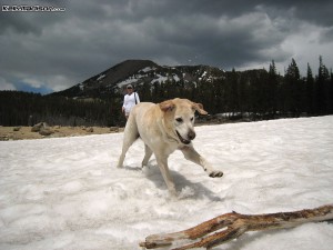 img_7314 img_7314
