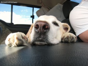 img_7352 img_7352